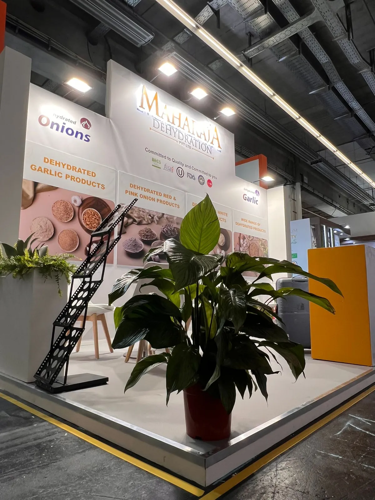 Maharaja Dehydration 18 sqm exhibition stand at Fi Europe, Messe Frankfurt — designed and built by Echo Expo (view 2)